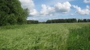 IMG_9193.JPG