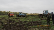 IMG_7282.JPG