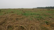 IMG_7011.JPG