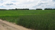 IMG_9240.JPG