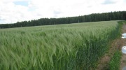 IMG_9205.JPG