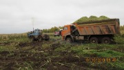 IMG_7276.JPG