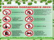 Напоминаем Правила поведения на природе