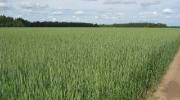 IMG_9233.JPG
