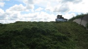IMG_9215.JPG