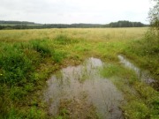 IMG-20190821-WA0029 - 11.jpg