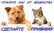Вакцинация против бешенства