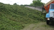 IMG_9207.JPG
