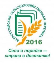 ДЕТИ РИСУЮТ СЕЛО
