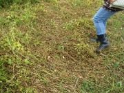 IMG_1456.JPG
