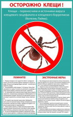Осторожно - клещи!