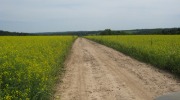 IMG_9358.JPG