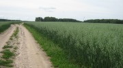 IMG_9334.JPG
