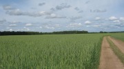 IMG_9232.JPG