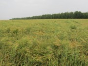 IMG_1465.JPG