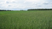 IMG_9241.JPG