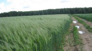 IMG_9200.JPG
