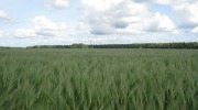 IMG_9201.JPG