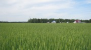IMG_9313.JPG