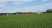 IMG_9314.JPG