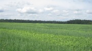 IMG_9227.JPG
