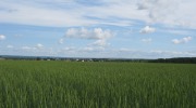 IMG_9317.JPG