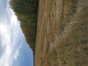 IMG_20190918_160914.jpg