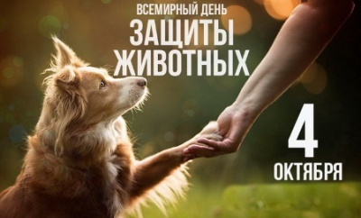 4 октября отмечается Всемирный день животных