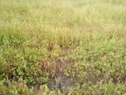 IMG-20190821-WA0020- 7.jpg