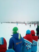 IMG_20200308_110231.jpg