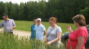 IMG_9363.JPG