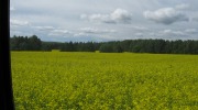 IMG_9226.JPG