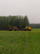 IMG_20190817_085505.jpg