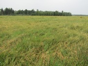 IMG_1463.JPG