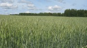 IMG_9196.JPG