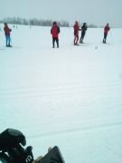 IMG_20200308_110227.jpg