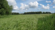 IMG_9194.JPG