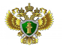 Разъяснение закона о льготах по капитальному ремонту Разъяснение закона о льготах по капитальному ремонту