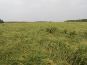 IMG_1464.JPG